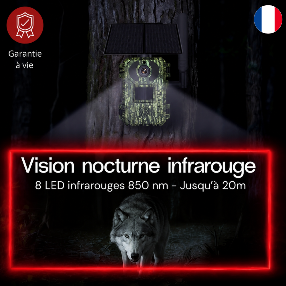 Caméra de Chasse Solaire