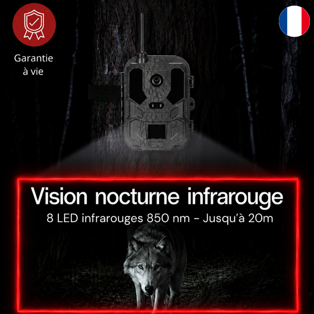 Caméra de Chasse 4K 4G+