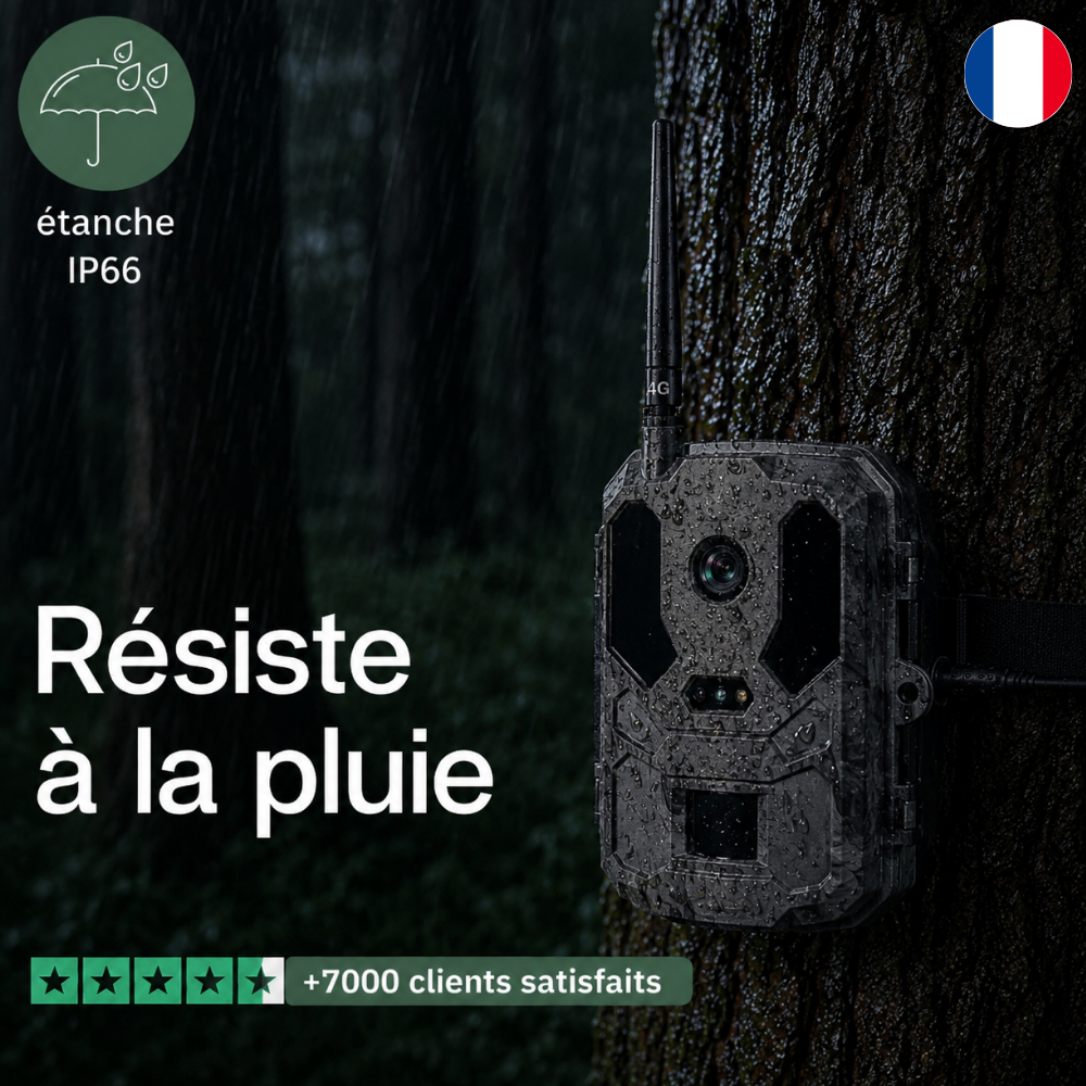 Caméra de Chasse 4K 4G+