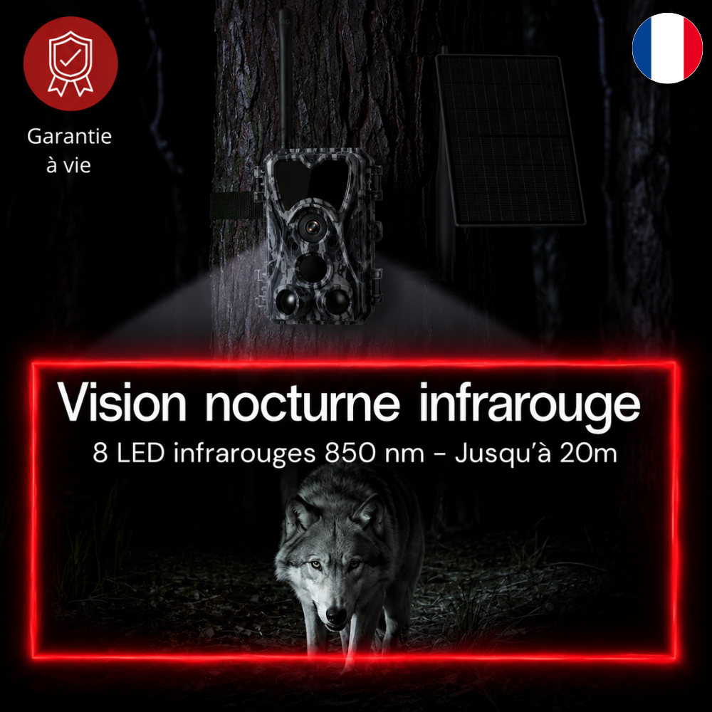 Caméra de Chasse 1080P avec écran 4G+