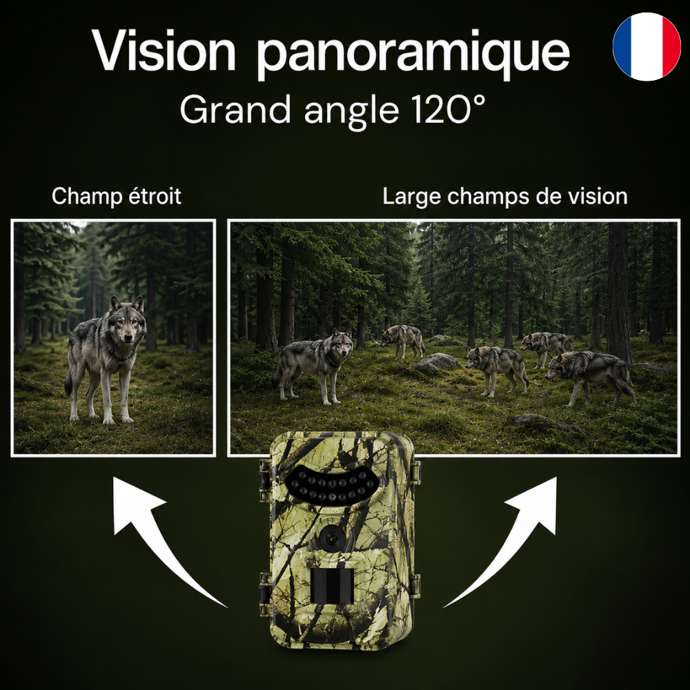 Caméra de Chasse 1080P Full HD